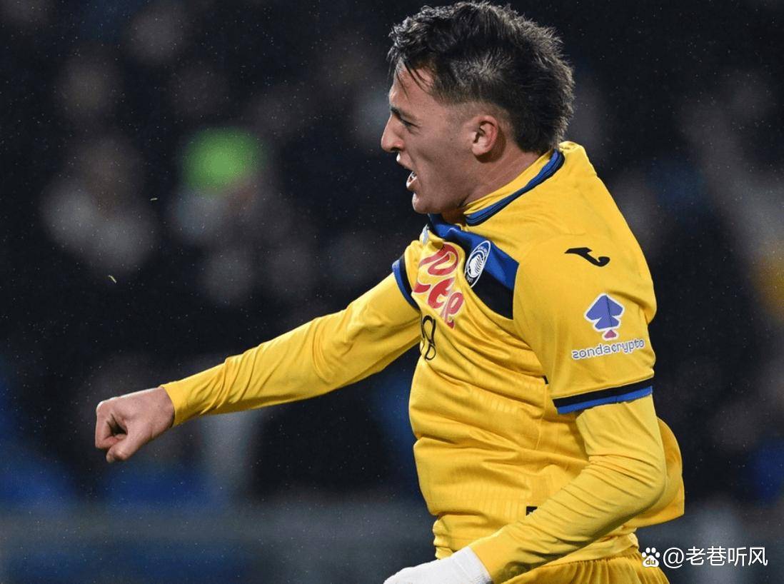 更多元化的 更多元化的